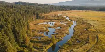 Vast, untouched natural landscape with diverse ecosystems, representing federal land conservation efforts.